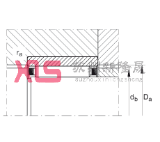 LS RNAO40X55X20, o(w)߅