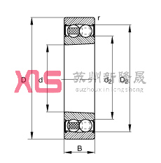 {(dio)S 2210-K-2RS-TVH-C3, (j) DIN 630 (bio)(zhn)Ҫߴ, FףF 1:12ɂ(c)ܷ