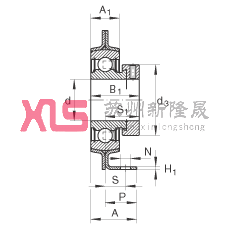 ֱʽSԪ PBS20, 䓰SƫiȦSУP ܷ
