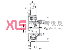 SԪ RCJT1-3/16, ǷmSԪTF ABMA 15 - 1991, ABMA 14 - 1991, ISO3228 ƫľohRܷ⣬Ӣ