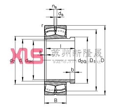{ĝLS 22313-E1-K-T41A + AH2313G,  DIN 635-2 ˜ʵҪߴ, F׺ж