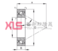 ǽ|S BSB035072-2RS-T, | a = 60ƹɂȴܷ