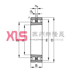 ALS NN3013-AS-K-M-SP,  DIN 5412-4 ˜ʵҪߴ, ǶλS, pУFףF 1:12 ɷx, ּܣpСďȲ϶ƹ