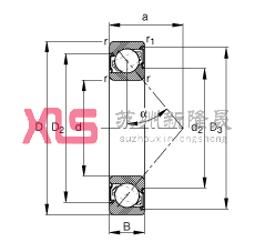 ǽ|S 7204-B-2RS-TVP,  DIN 628-1 ˜ʵҪߴ磬|  = 40㣬ɂȴܷ